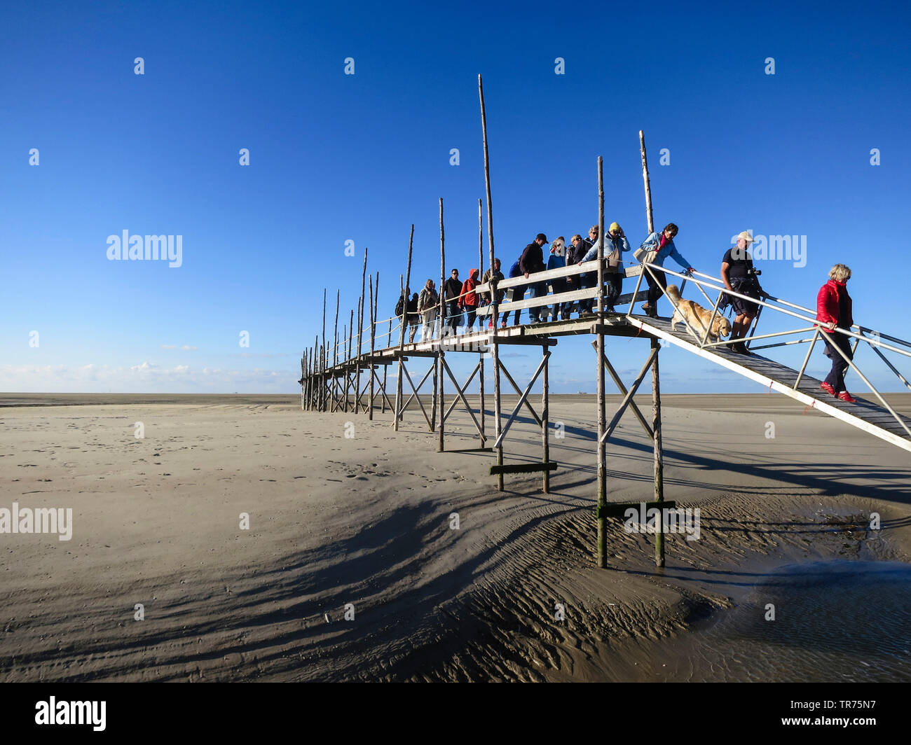 Menschen zu Fuß auf alten Anlegestelle an Vliehor, Niederlande, Friesland, Vlieland zur Fähre Stockfoto