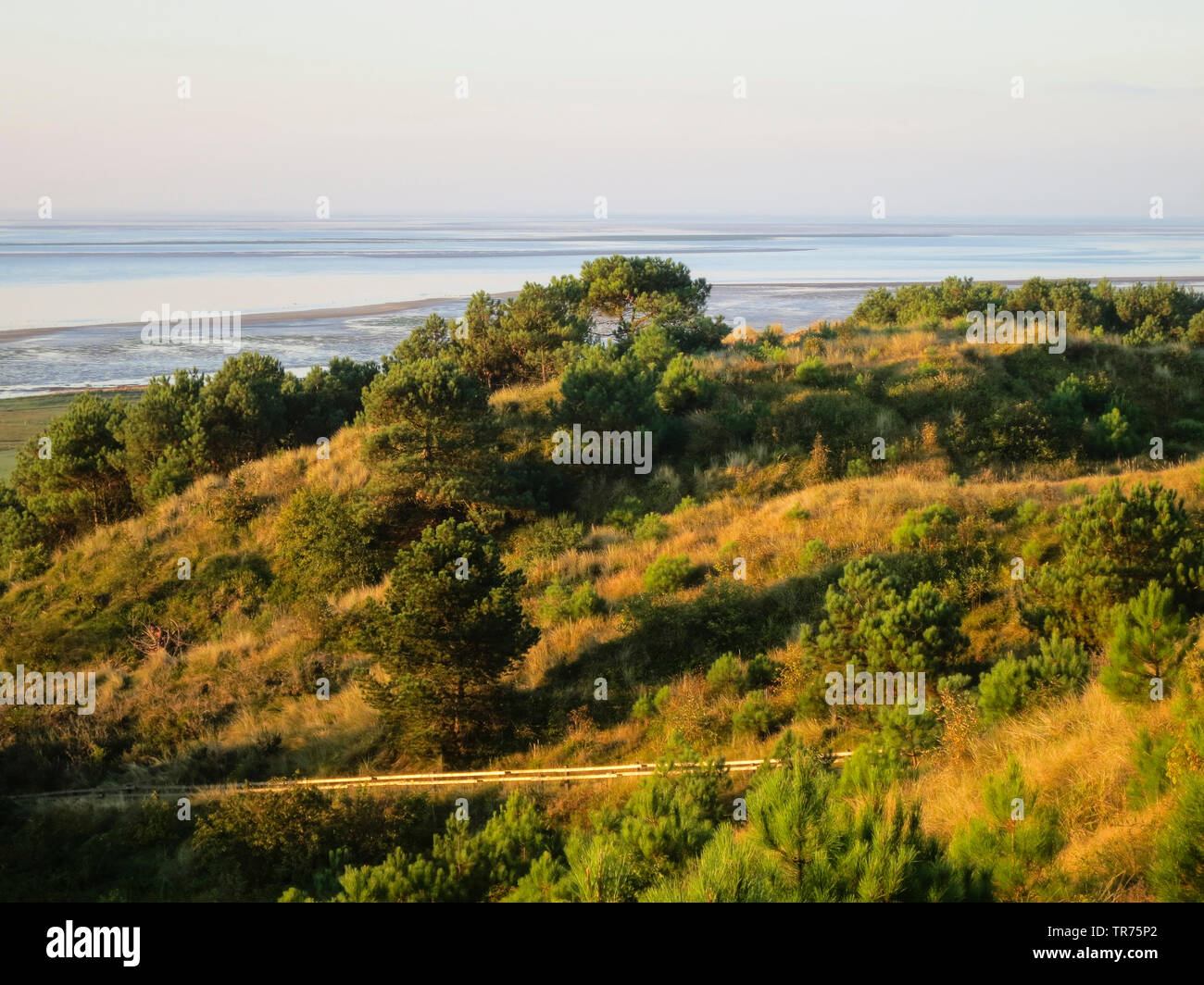 Übersicht bei Dünen mit Wattenmeer im Hintergrund, Niederlande, Friesland, Vlieland Stockfoto