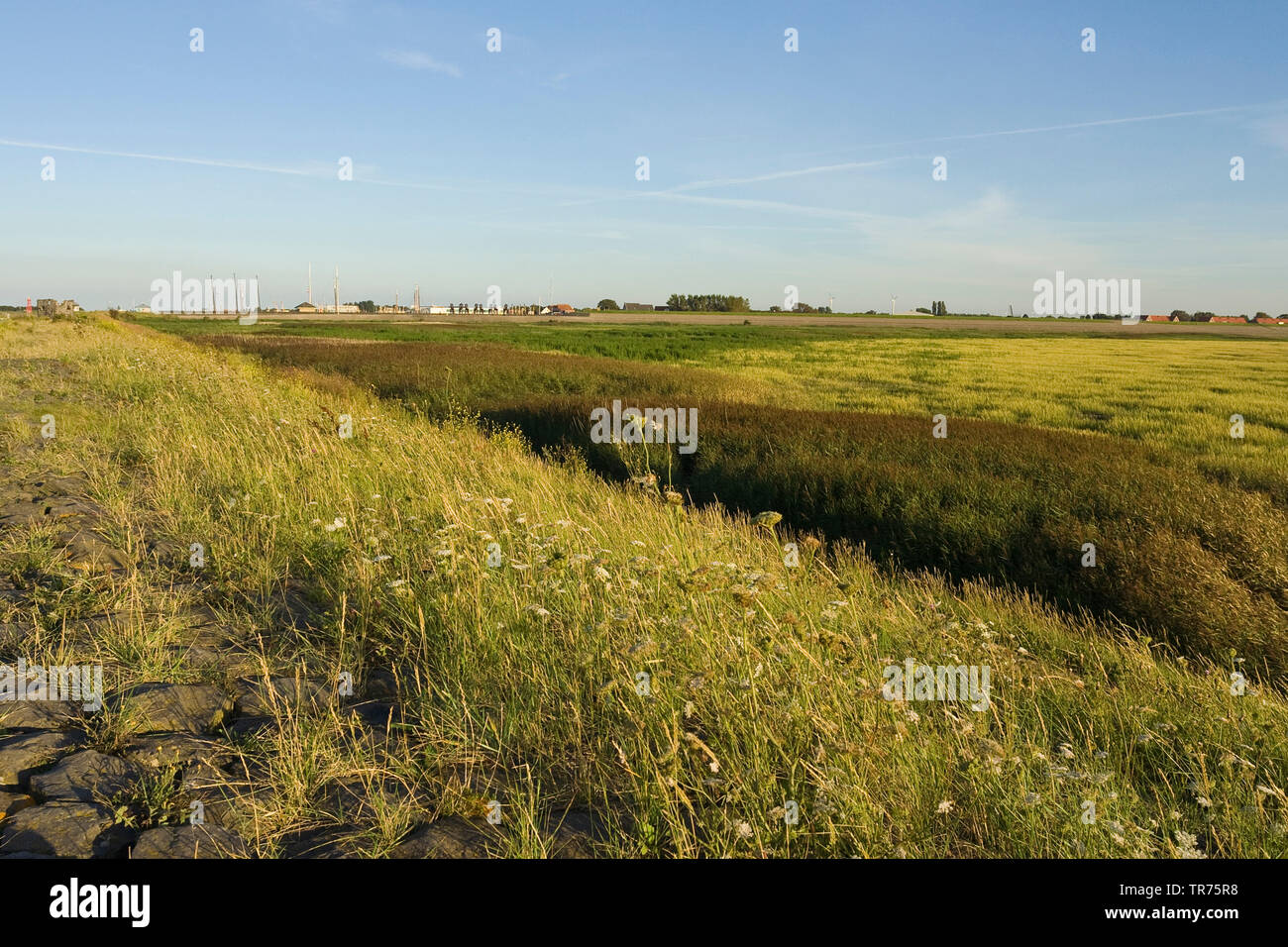Gezeiten Buchten an Den Oever mit Häusern im Hintergrund, der niederländischen, der Nördlichen Niederlande, Den Oever Stockfoto