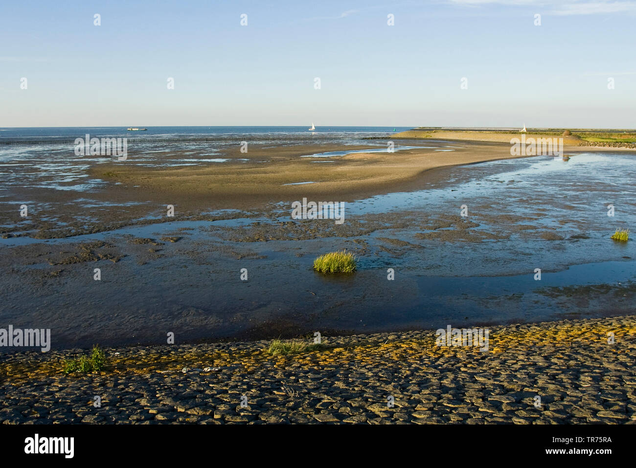 Wattenmeer an Den Oever mit Deich im Vordergrund, der niederländischen, der Nördlichen Niederlande, Den Oever Stockfoto