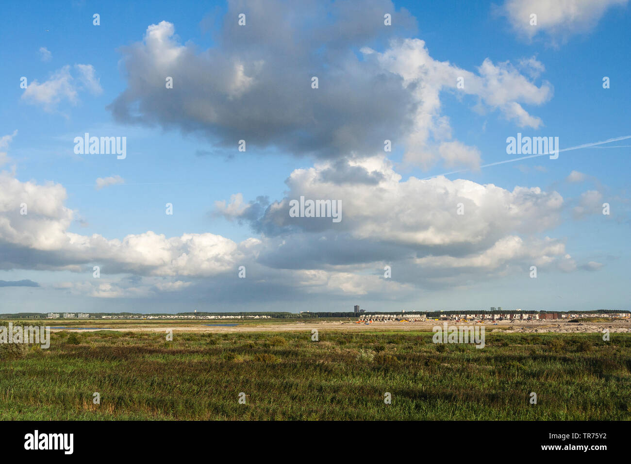 Neuer Stadtteil von Oostvaardersplassen, Niederlande, Flevoland, Oostvaardersplassen Stockfoto