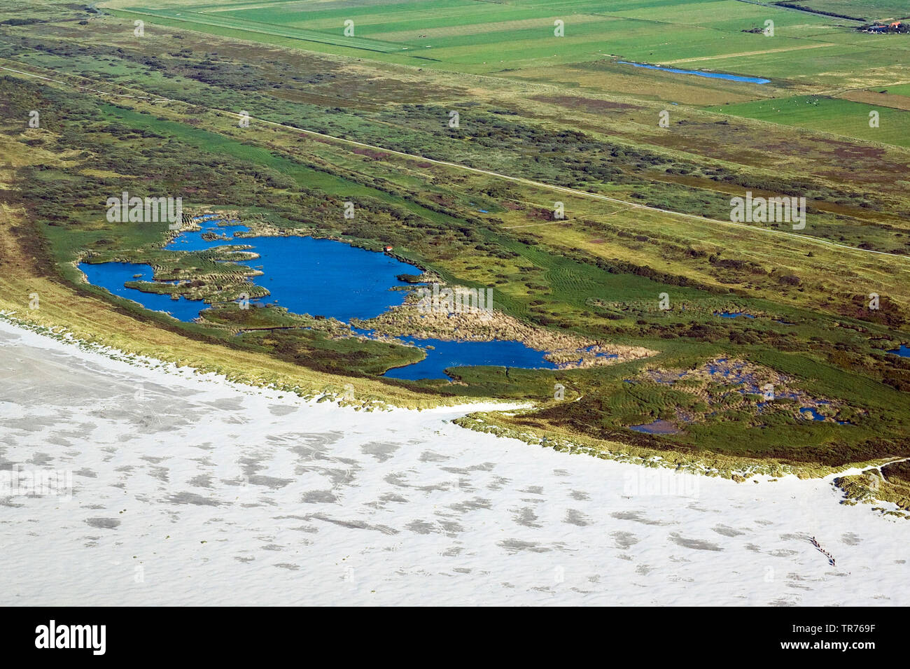 Teich in den Dünen an der Nordsee, Luftbild, Niederlande Stockfoto