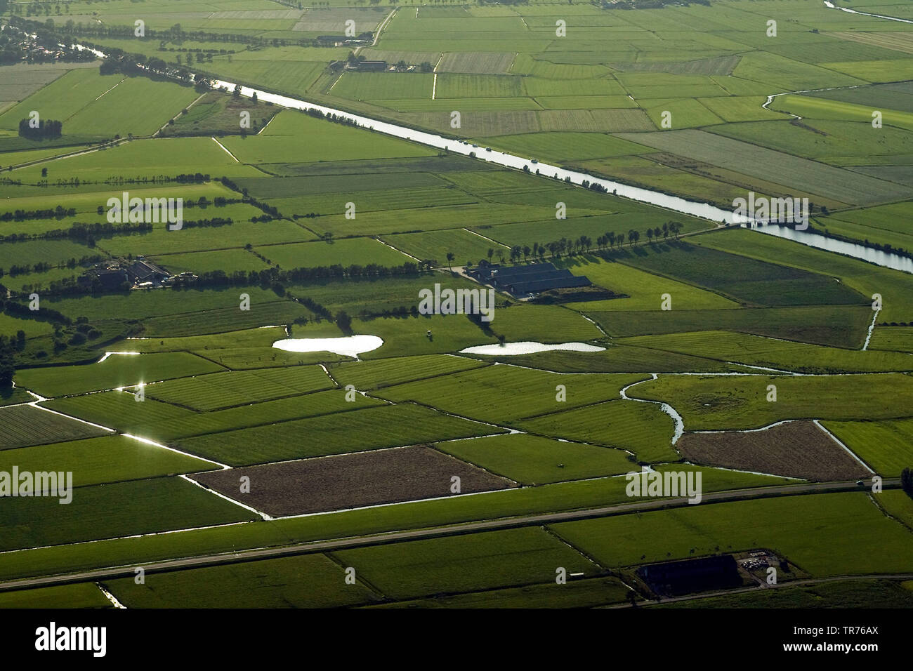 Feld mit entwässerungsgräben an der Nordsee, Luftbild, Niederlande Stockfoto