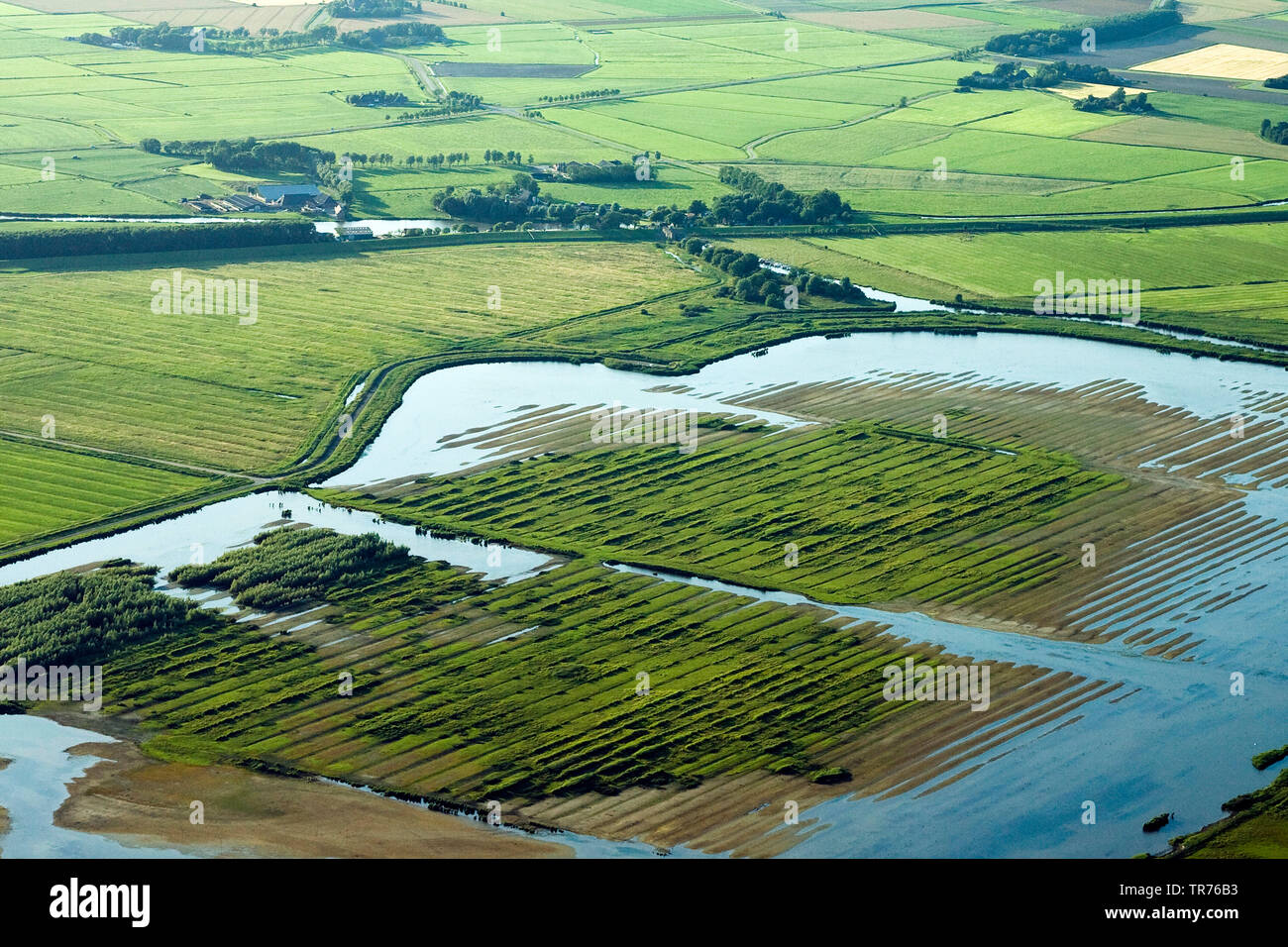 Feld an der Nordsee, Luftbild, Niederlande Stockfoto