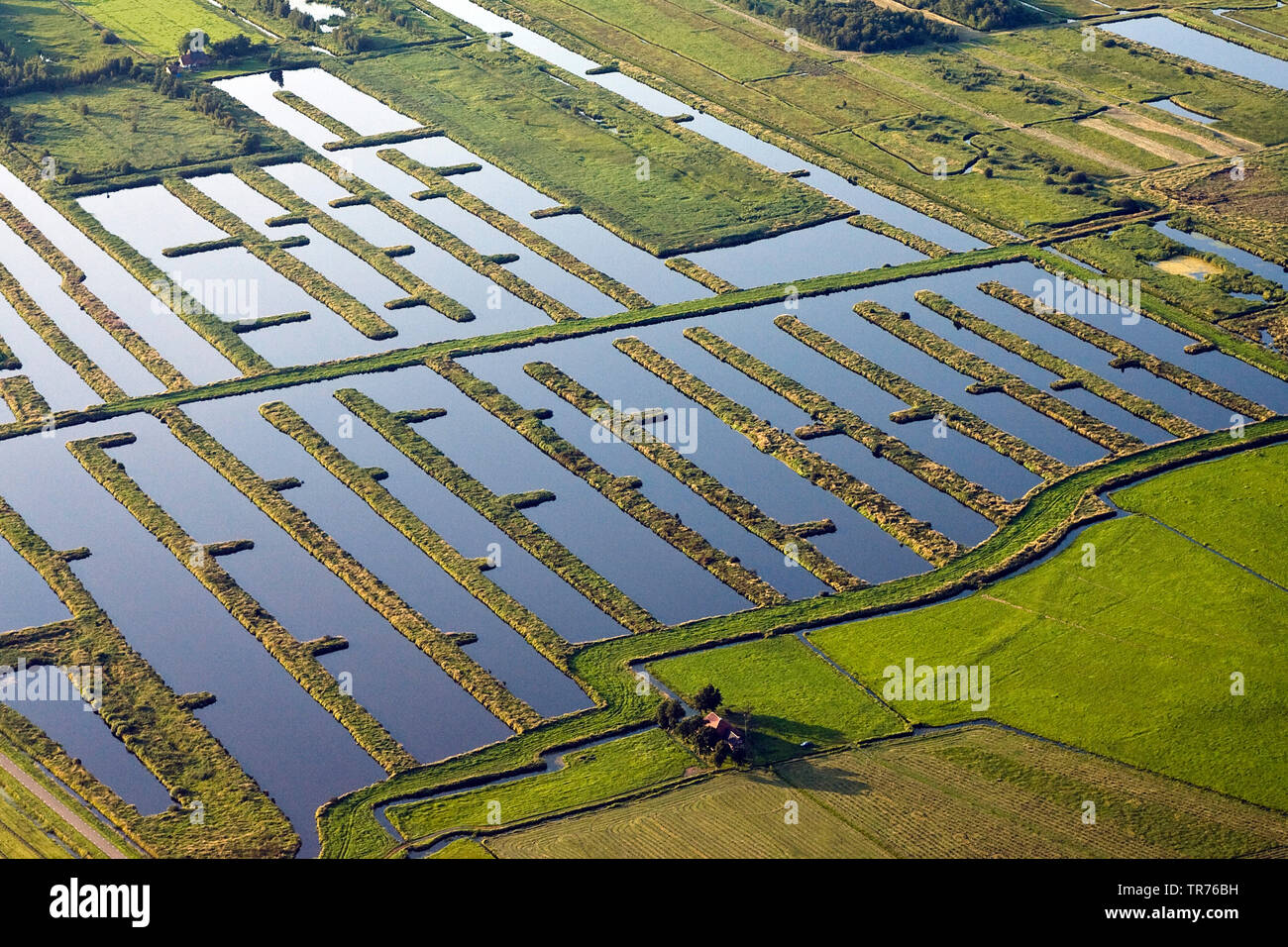 Überschwemmte Felder, Luftbild, Niederlande Stockfoto