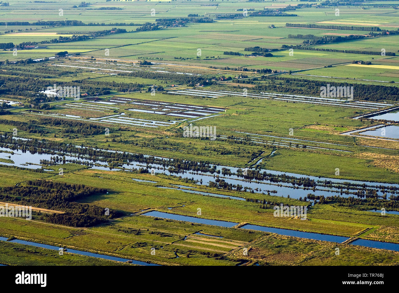 Überschwemmte Felder, Luftbild, Niederlande Stockfoto