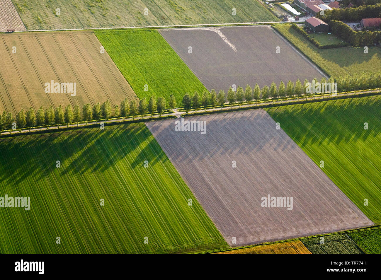 Feld Landschaft mit Kegelbahn in Nordholland, Luftaufnahme, Niederlande, Holland Nord Stockfoto