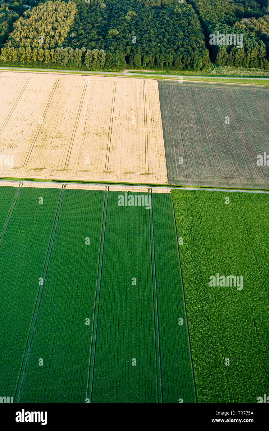 Feld Landschaft mit Wald, Luftaufnahme, Niederlande, Holland Nord Stockfoto