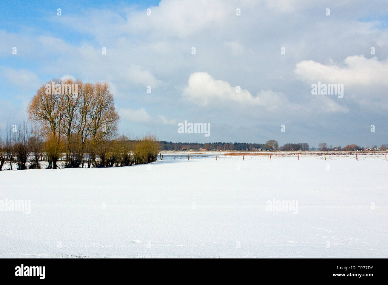Die IJssel im Winter, Niederlande Stockfoto
