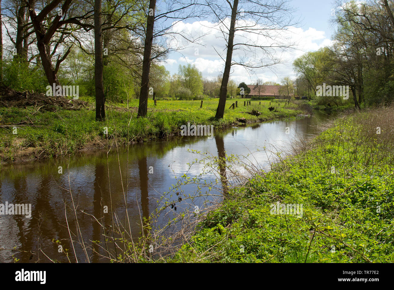 Natur Reserve Lutterzand, Niederlande, Overijssel Stockfoto