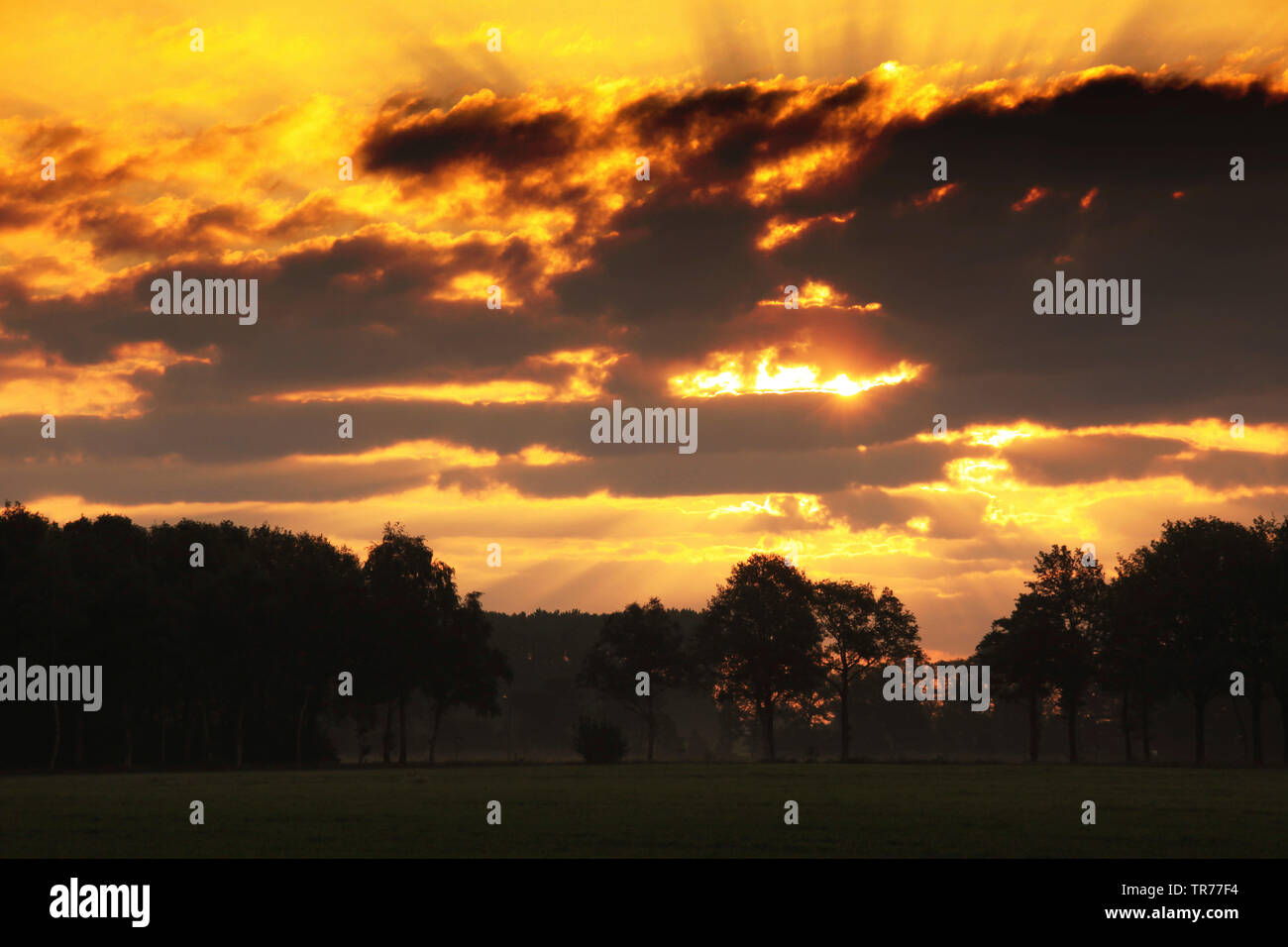 De Olde Maten, Sonnenuntergang, Niederlande Stockfoto