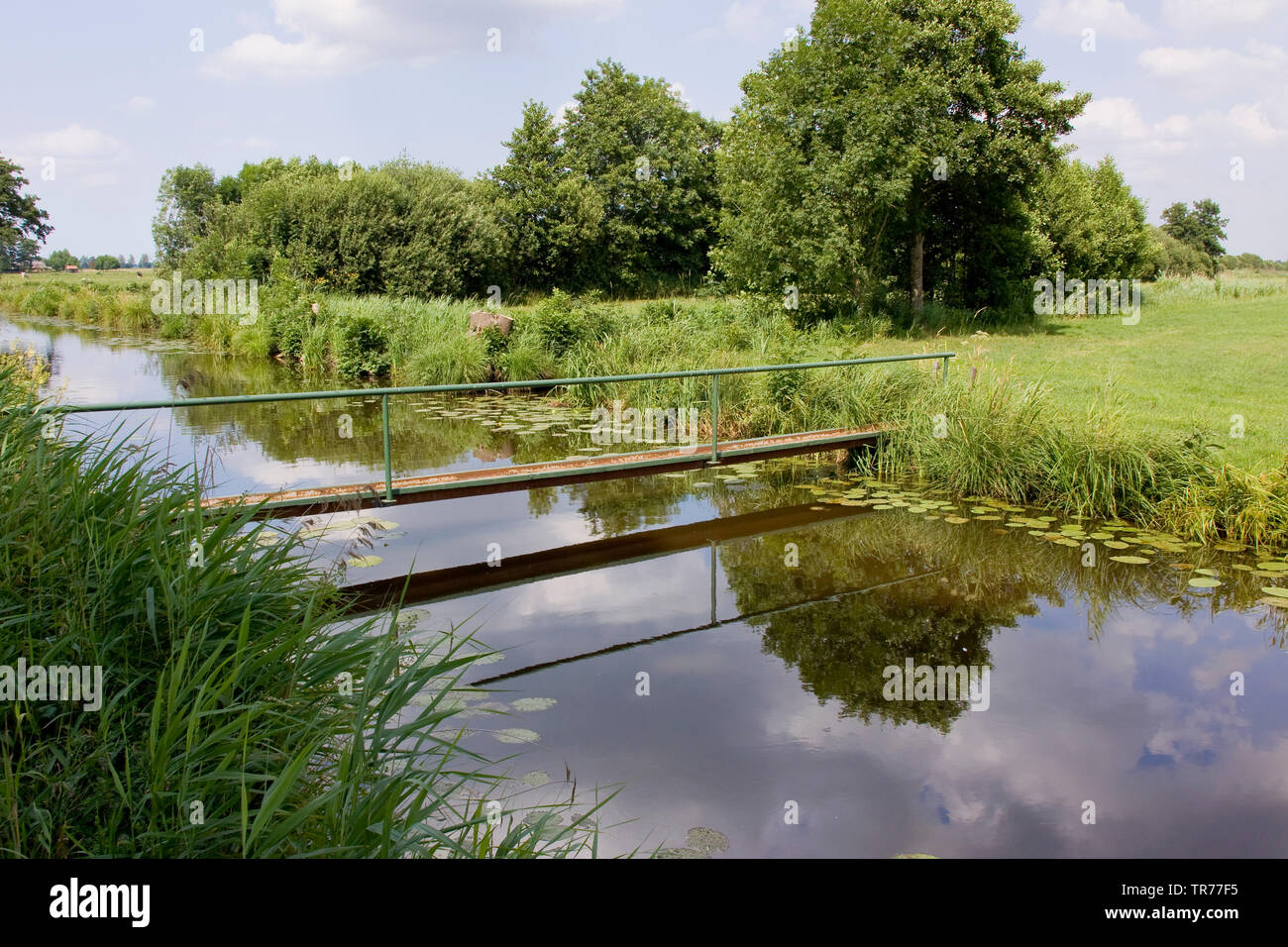 Natur Reserve De Olde Maten, Niederlande Stockfoto