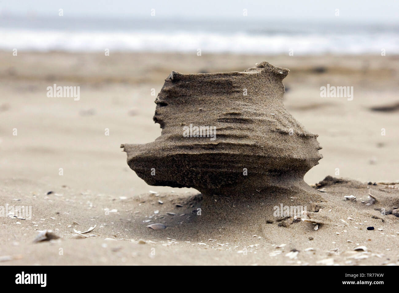 Sand sculpure am Strand, Niederlande, Friesland, Ameland Stockfoto