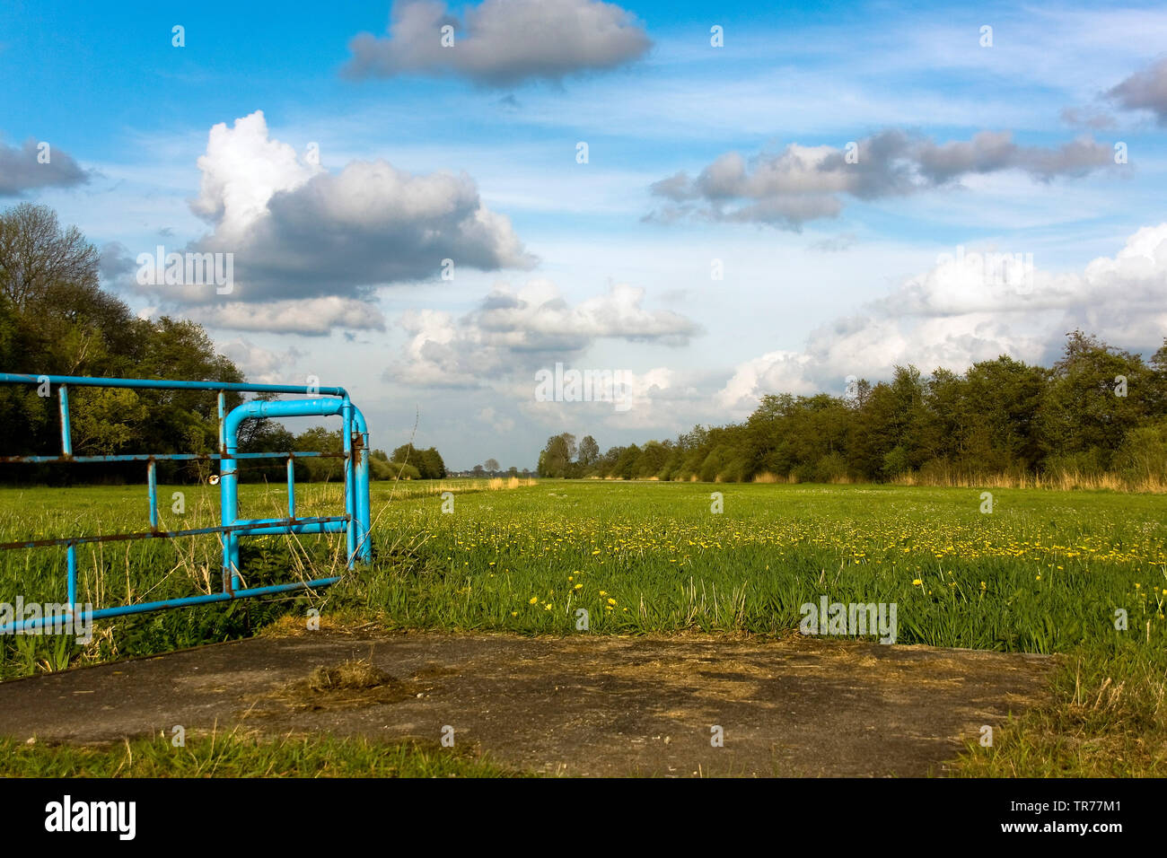 Naturschutzgebiet Olde Maten im Frühjahr, Niederlande, Overijssel Stockfoto