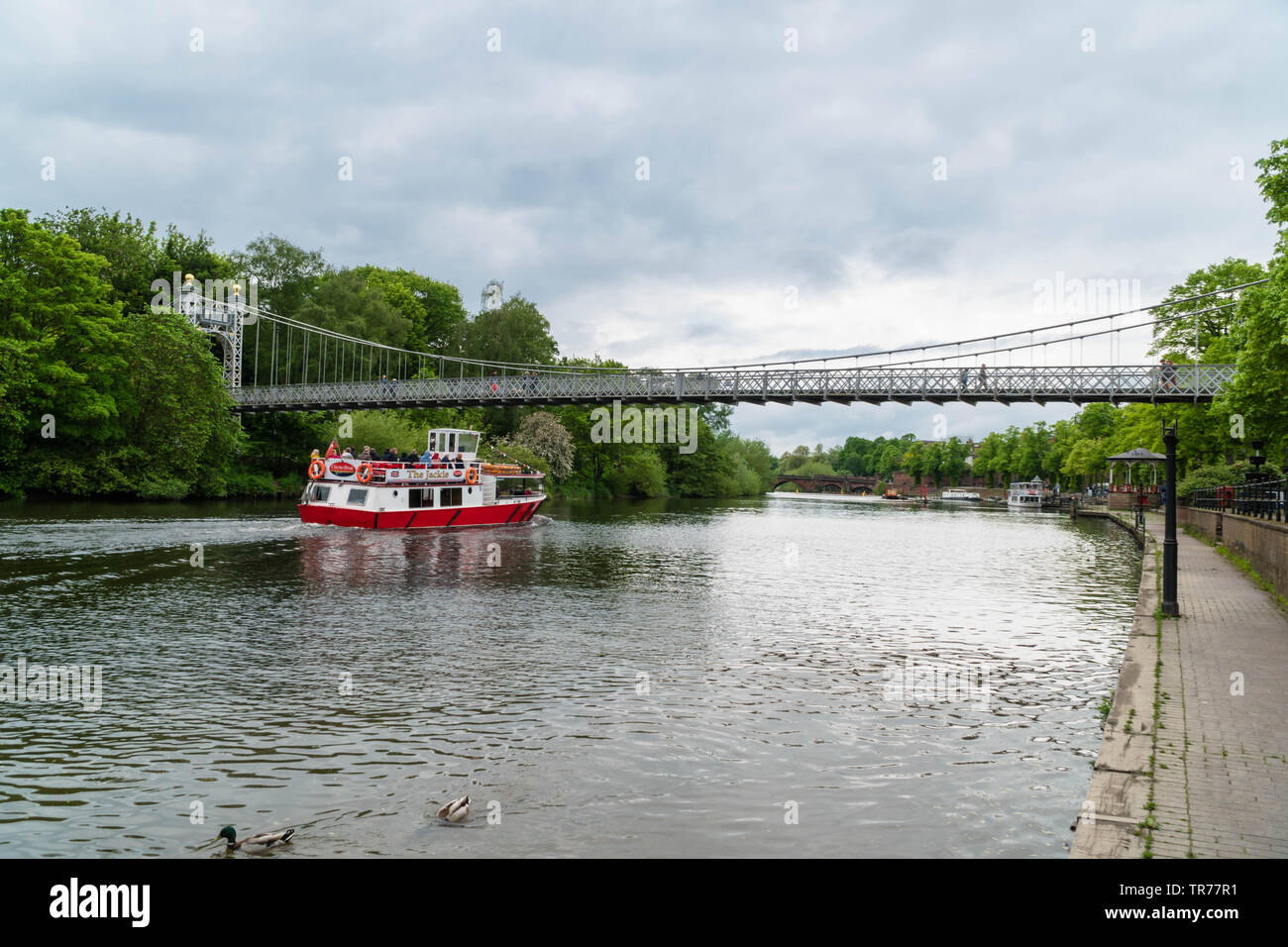 Touristenboot navigieren im Fluss Dee unter Queens Park Bridge Chester England UK. Mai 2019 Stockfoto