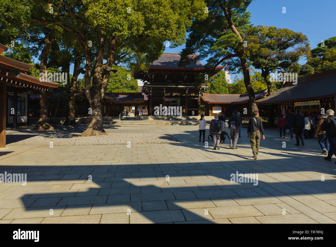 Eintritt Bereich der Meiji Schrein mit klaren Schatten eines riesigen Torii umgeben von Pinien, Tokio, Japan, Oktober 2018 Stockfoto