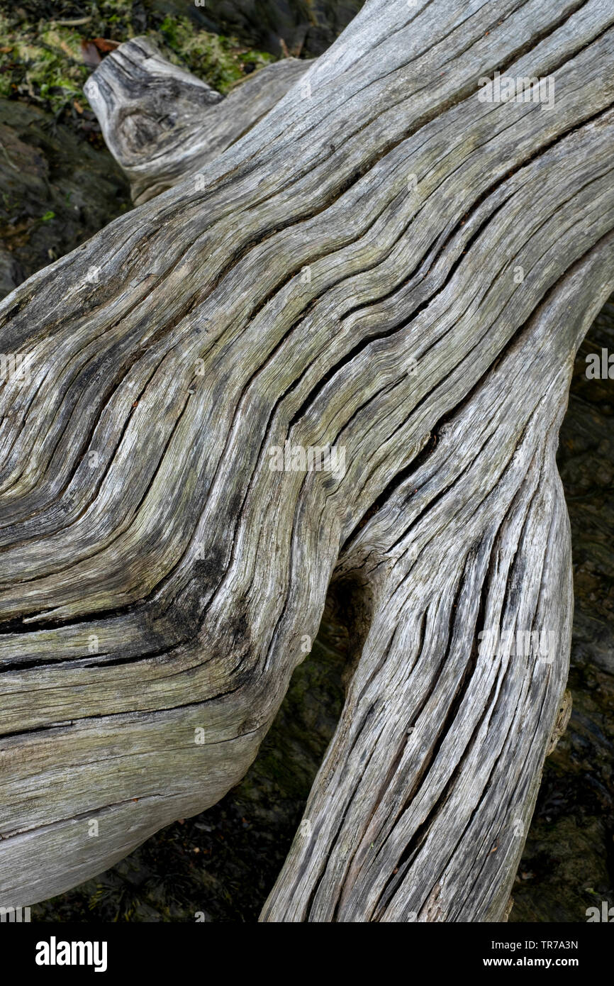 Verwittertem Holz Stockfoto