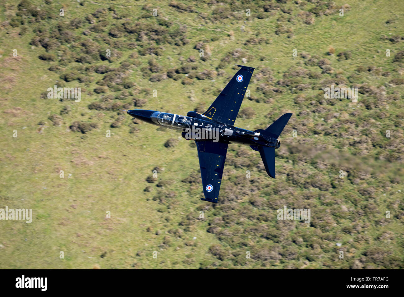 RAF Hawk T2 Flugzeug , Fliegen niedriges Niveau in der Mach Loop, Wales, Großbritannien Stockfoto