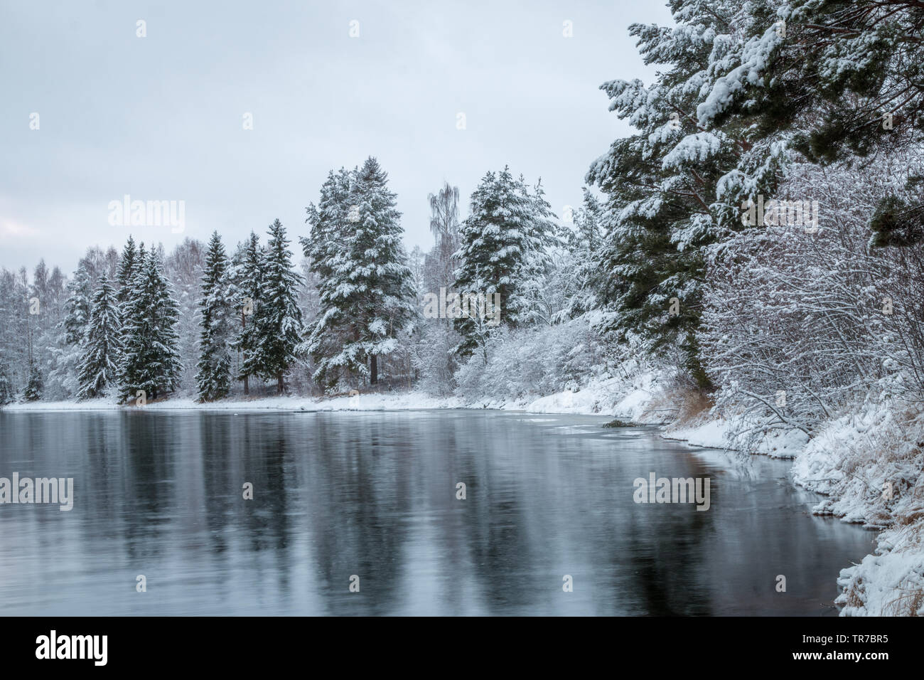 Skandinavischen Winter Landschaft von einem Fluss Ufer in der Region Dalarna Stockfoto