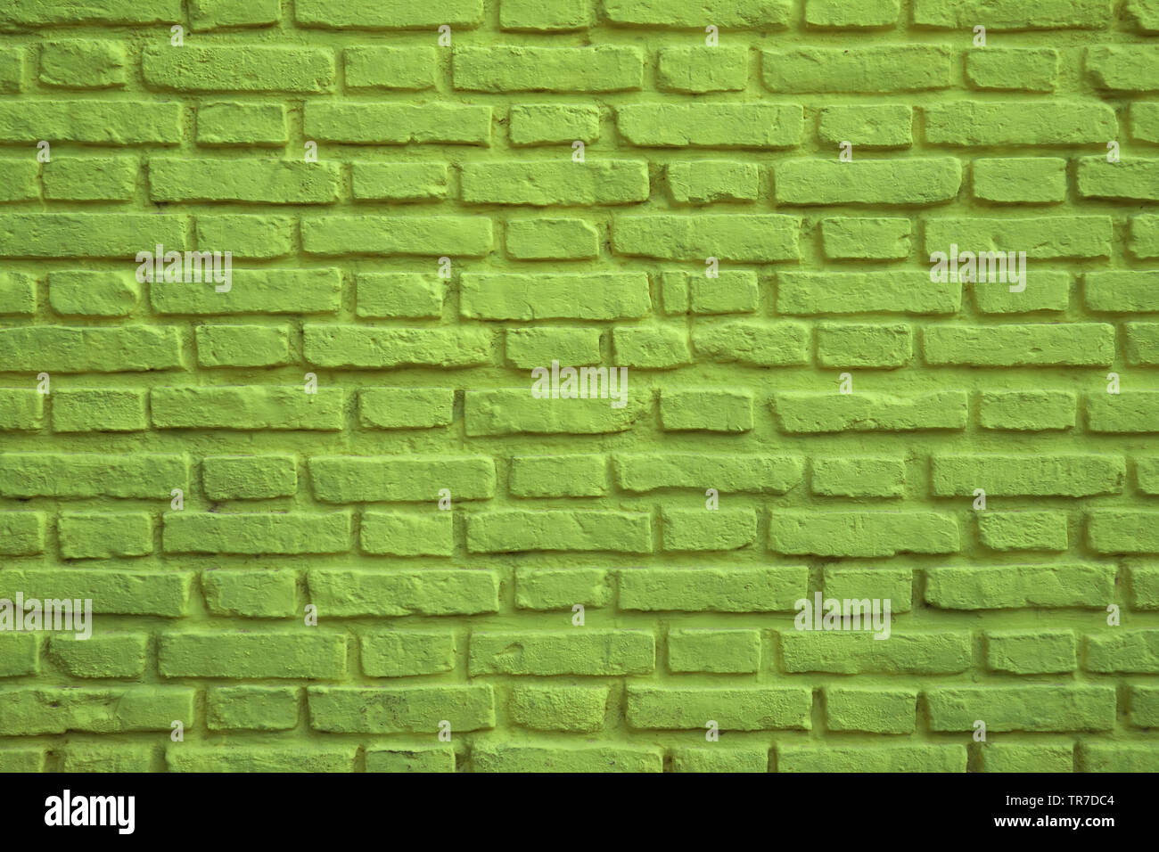 Lime Grün Alte Mauer für Hintergrund, Banner oder Wallpaper Stockfoto