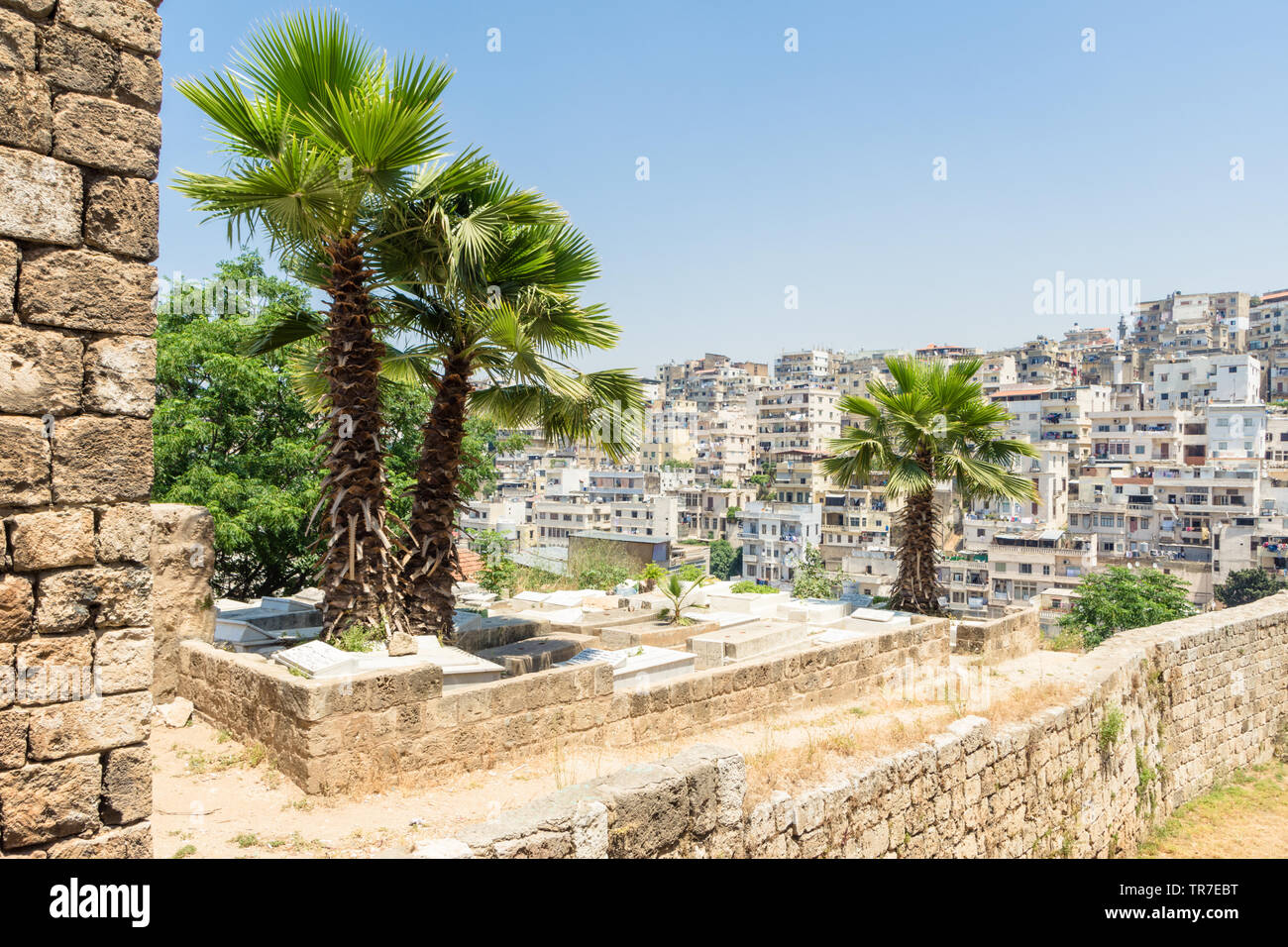 Friedhof außerhalb der Zitadelle von Raymond de Saint-Gilles, Tripoli, Libanon entfernt Stockfoto