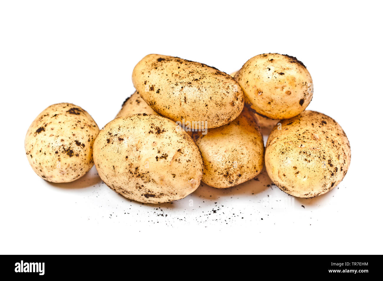 Frisch geernteten schmutzigen Kartoffeln heap auf weißem Hintergrund. Frische Bioprodukte. Stockfoto