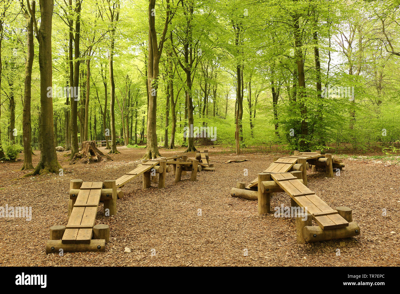 Hindernislauf für Fitness und Spaß im Wald Stockfoto