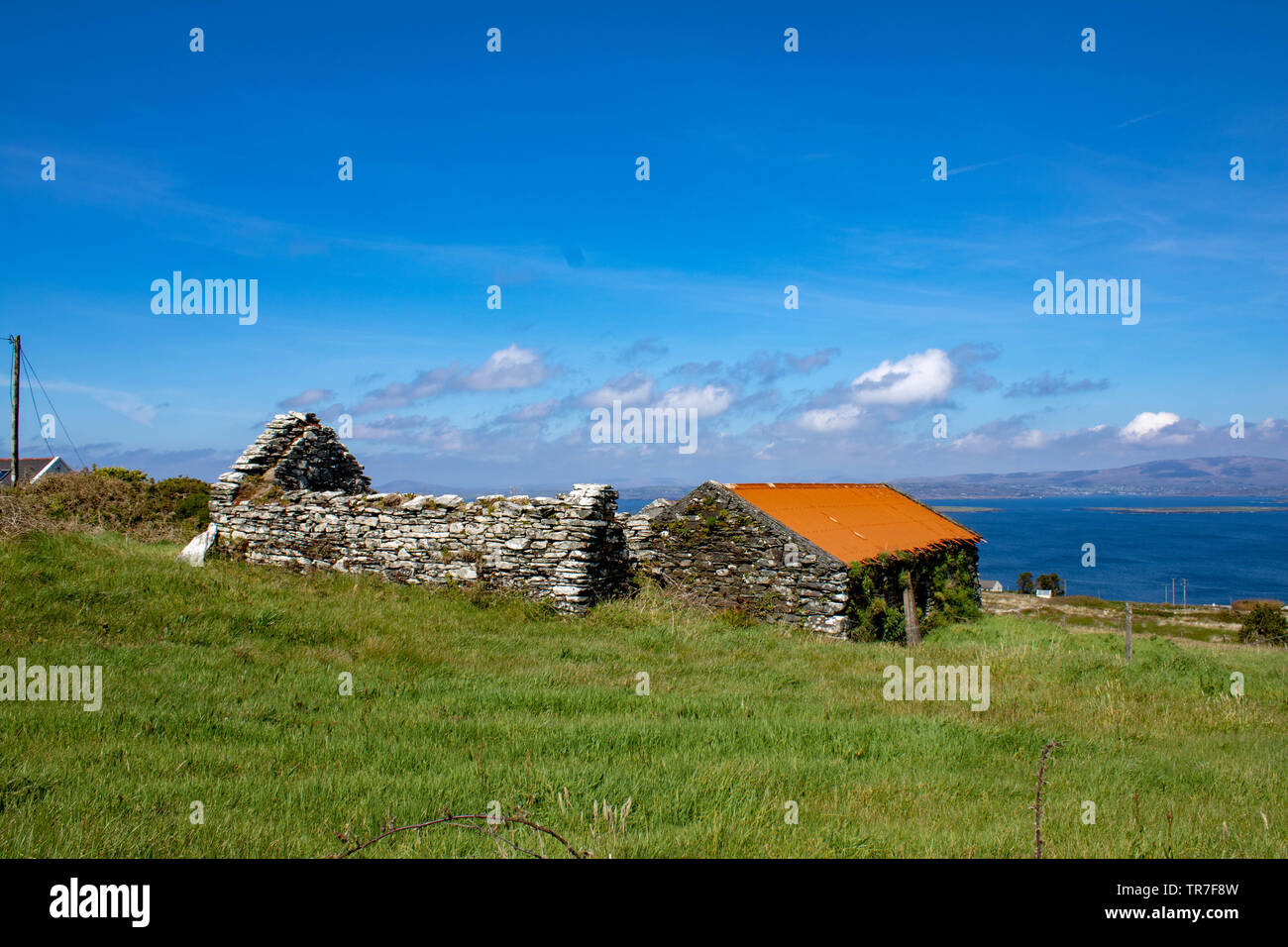 Sommertag auf Cape Clear Island West Cork Irland. Es ist der südlichste bewohnte Teil Irlands und hat eine Bevölkerung von 147 Menschen. Stockfoto