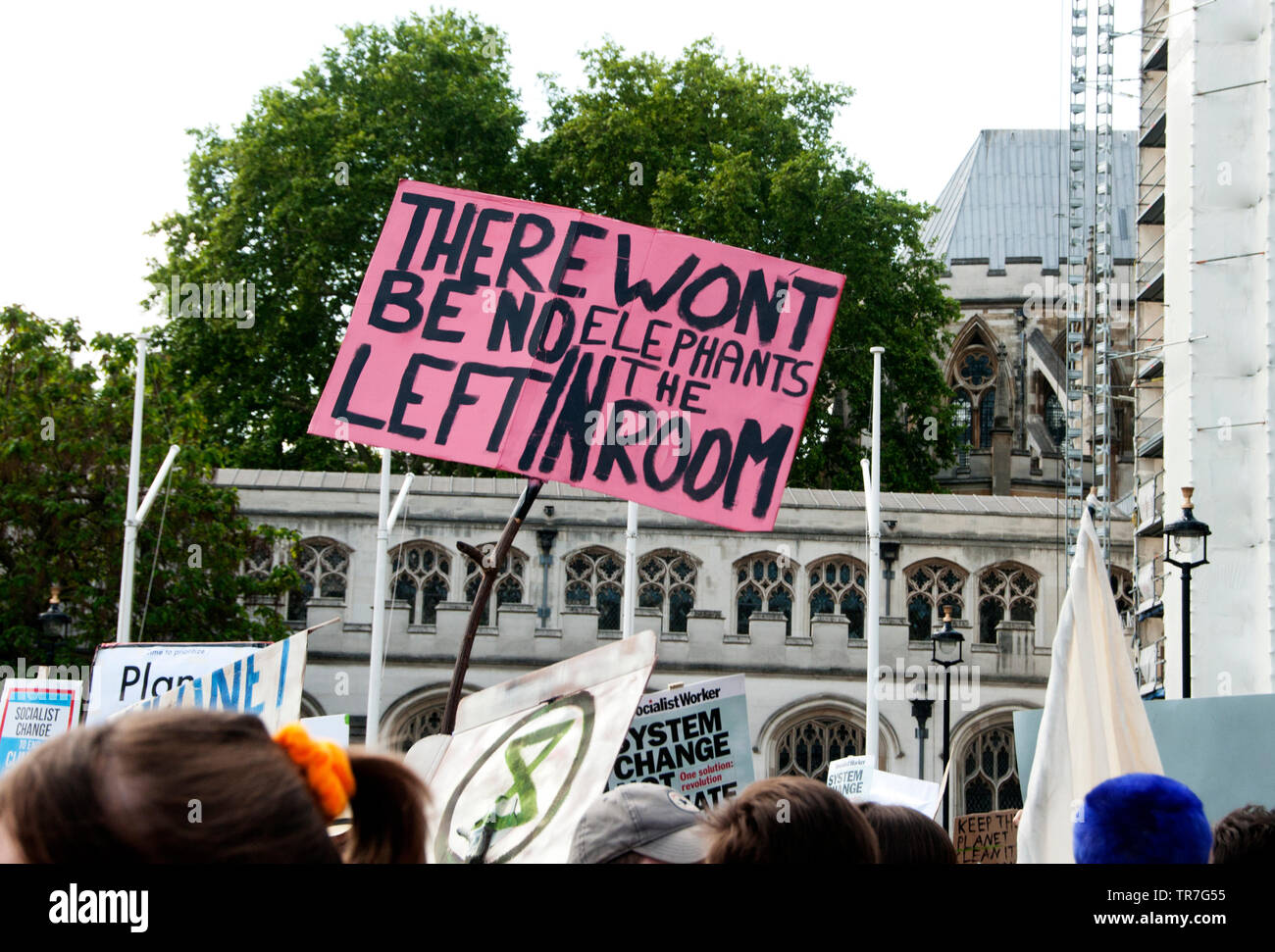 Schule Klima Streik, London, England, UK. Eine Demonstrantin hält ein Ungrammatical Zeichen sagen: "Es wird nicht keine Elefanten im Zimmer. Stockfoto