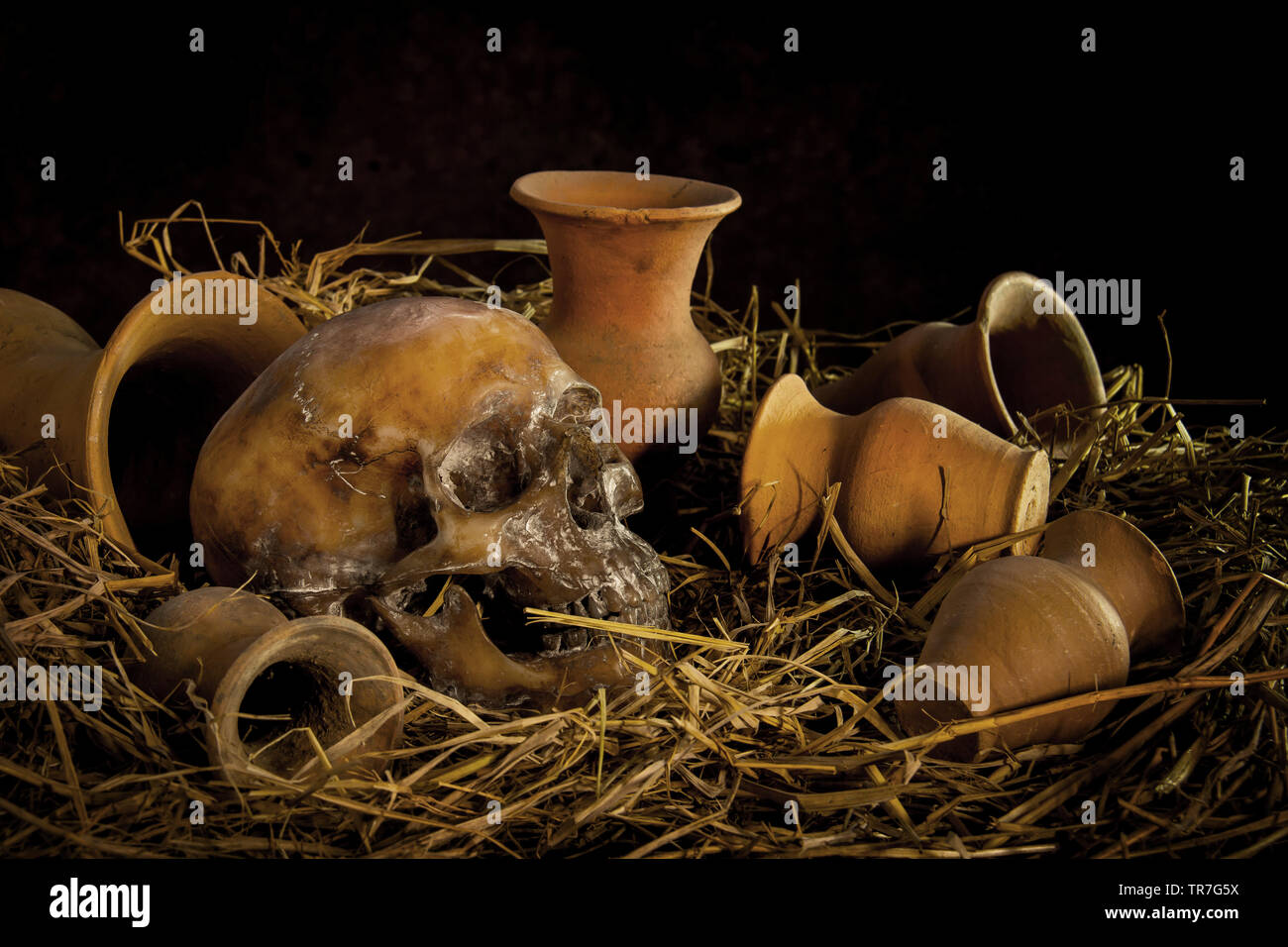 Stillleben mit menschlichen Schädel auf Stroh und Vase Stockfoto