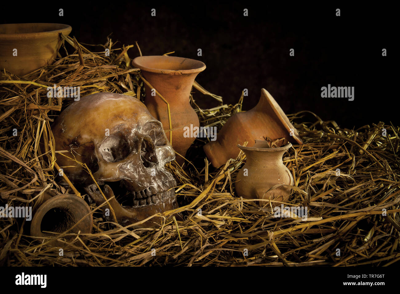 Stillleben mit menschlichen Schädel auf Stroh und Vase Stockfoto