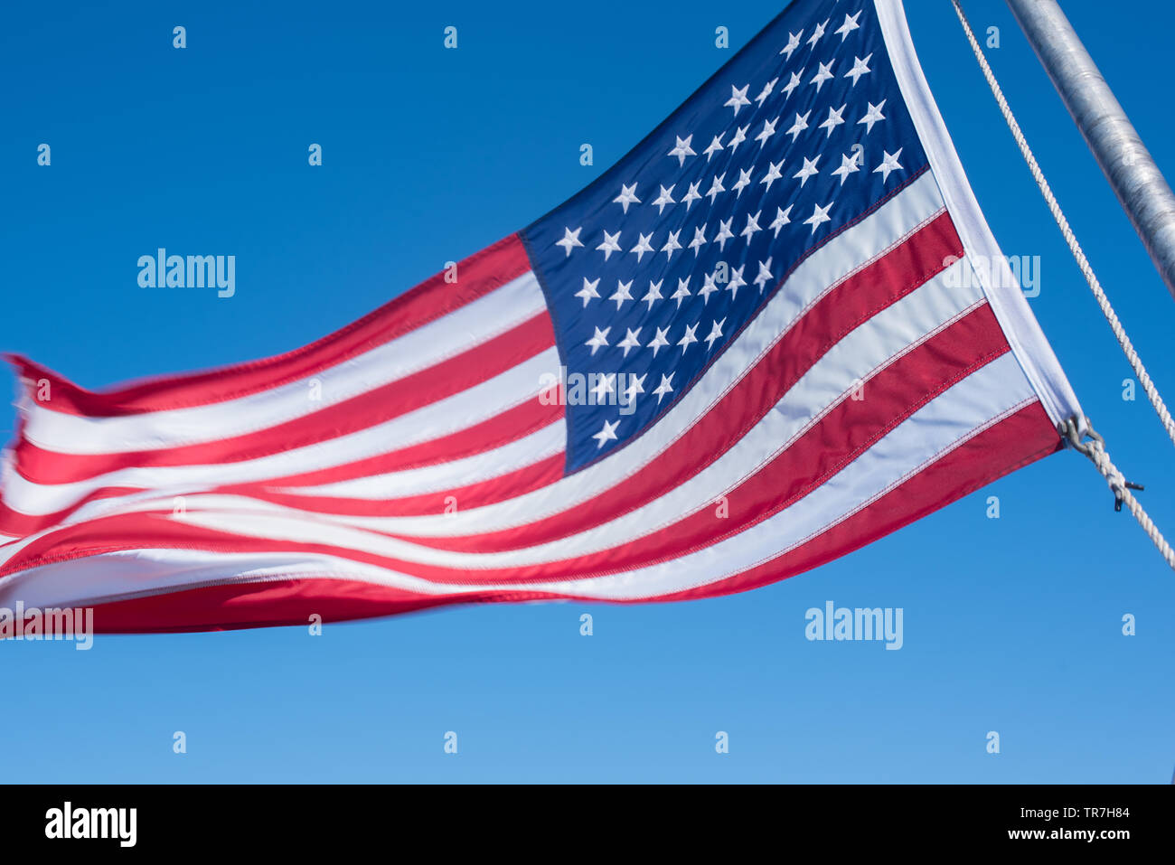Die Vereinigten Staaten von Amerika stars and stripes Flag in den Wind Stockfoto