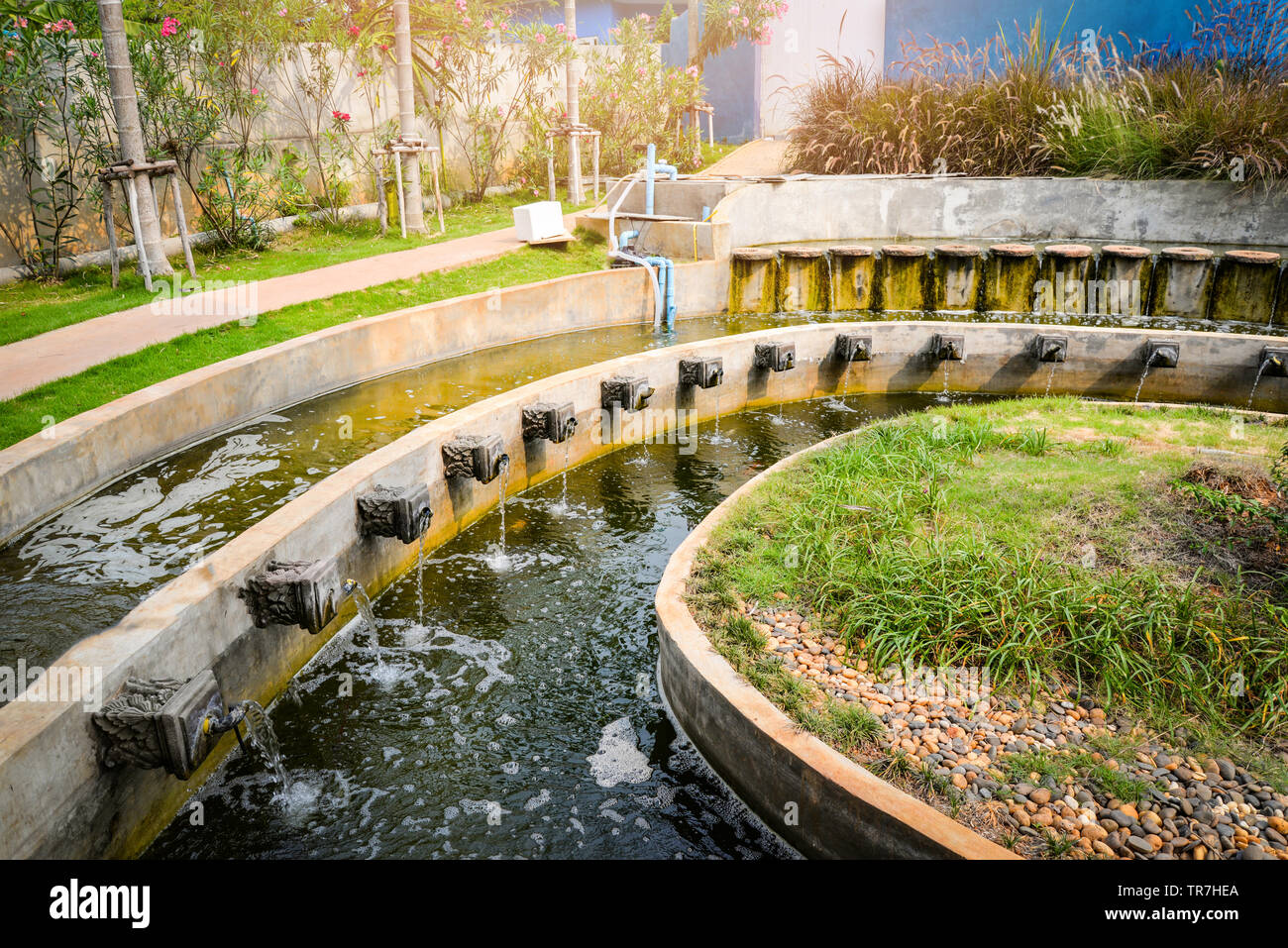 Wunderschones Wasser Teich Im Garten Klassische Runde Bauform Fur