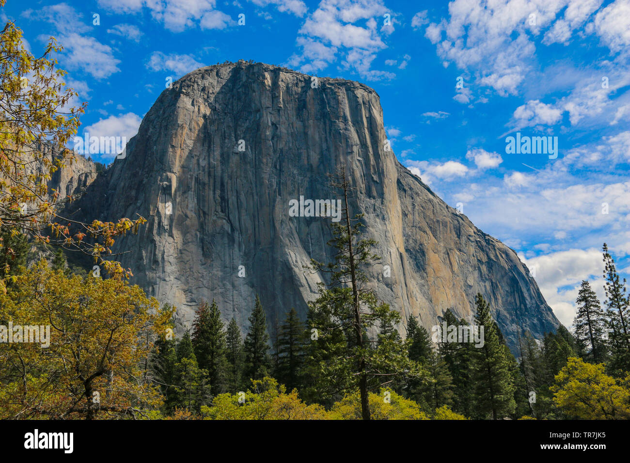 Magnificant El Capitan, Yosemite Nationalpark Stockfoto