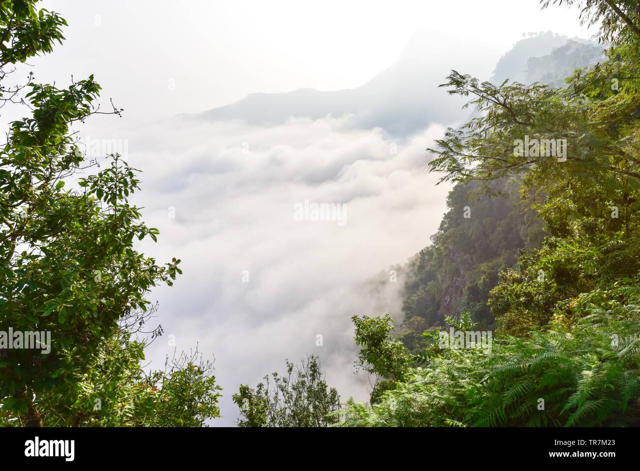 Nebeliger Morgen in der Nähe von Bundipur Village, einem Bergdorf in Nepal Stockfoto