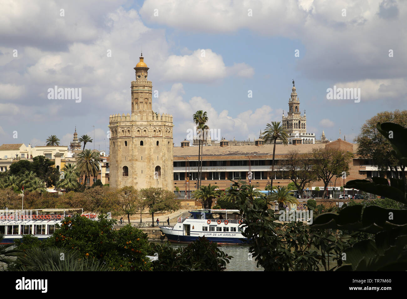 Spanien. Andalusien. Sevilla. Turm von Gold. 1220-1221. Almohaden Kalifat. Stockfoto