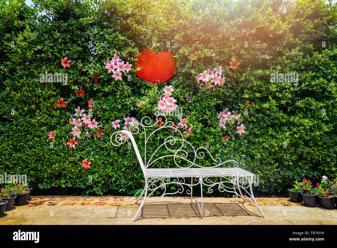 Vintage Bank oder Stuhl mit Blume Pflanze und roten Herzen auf grüne Natur Wand Hintergrund Stockfoto