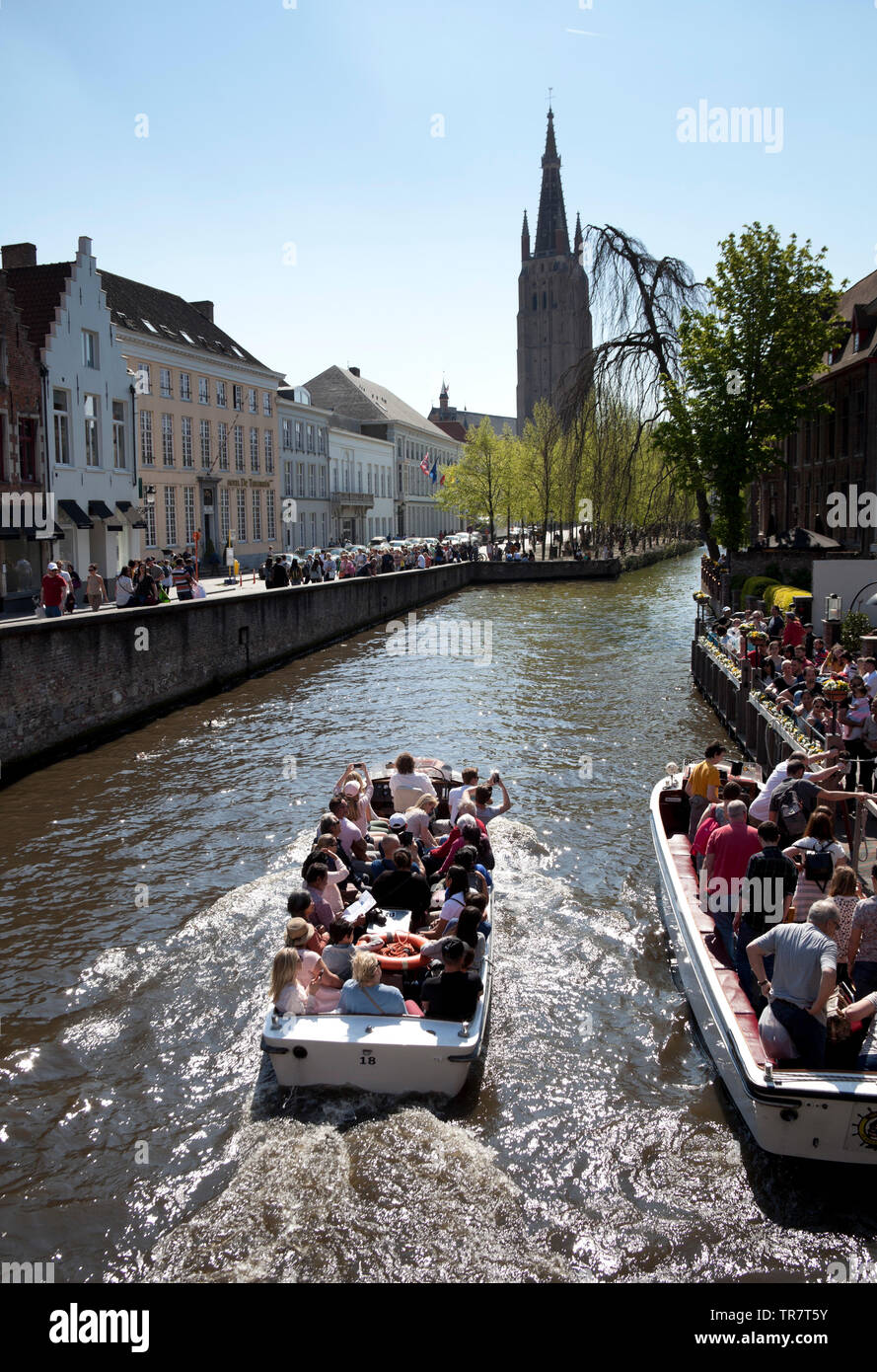 Brügge, sightseeing Bootsfahrt, Belgien, Europa Stockfoto