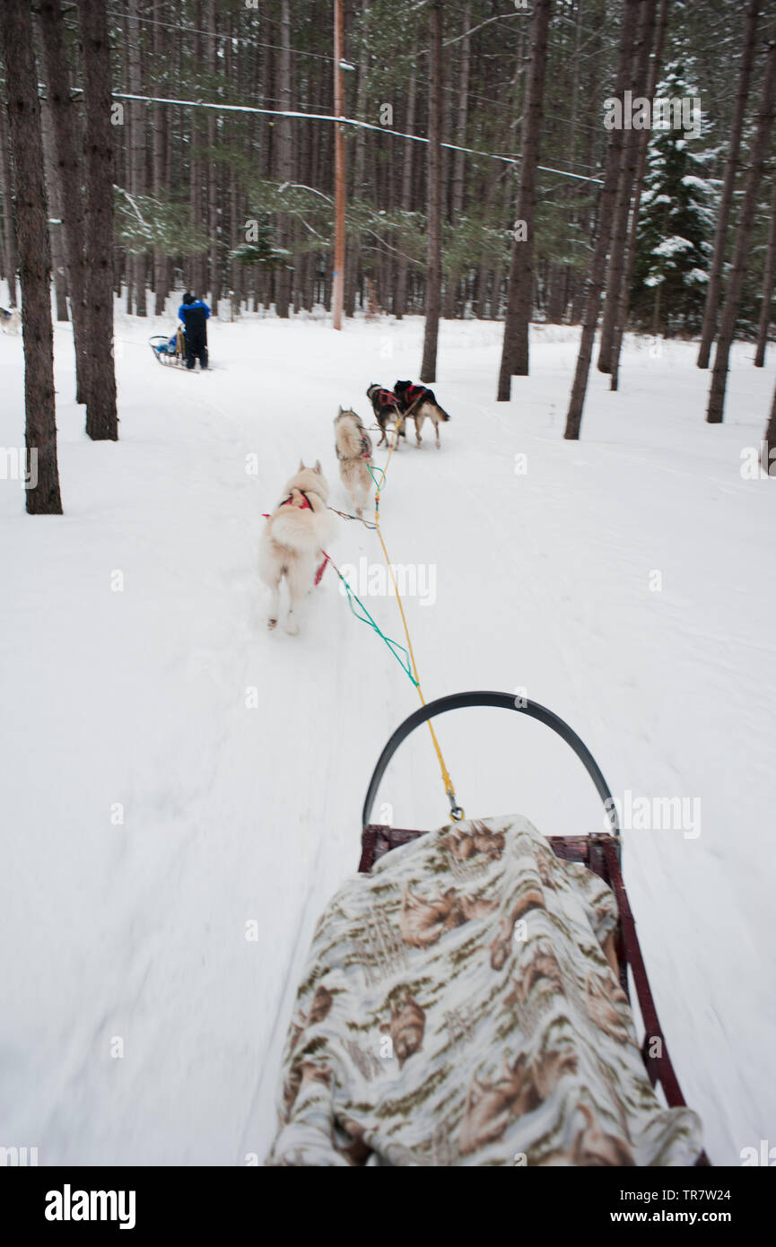 Hundeschlitten Ski Fest Tremblant Quebec, Kanada Stockfoto
