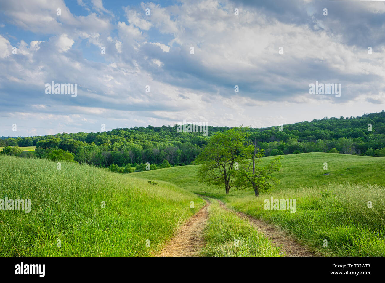 Schöne Aussicht auf die Landschaft bei Sky Meadow State Park, Virginia, USA Stockfoto