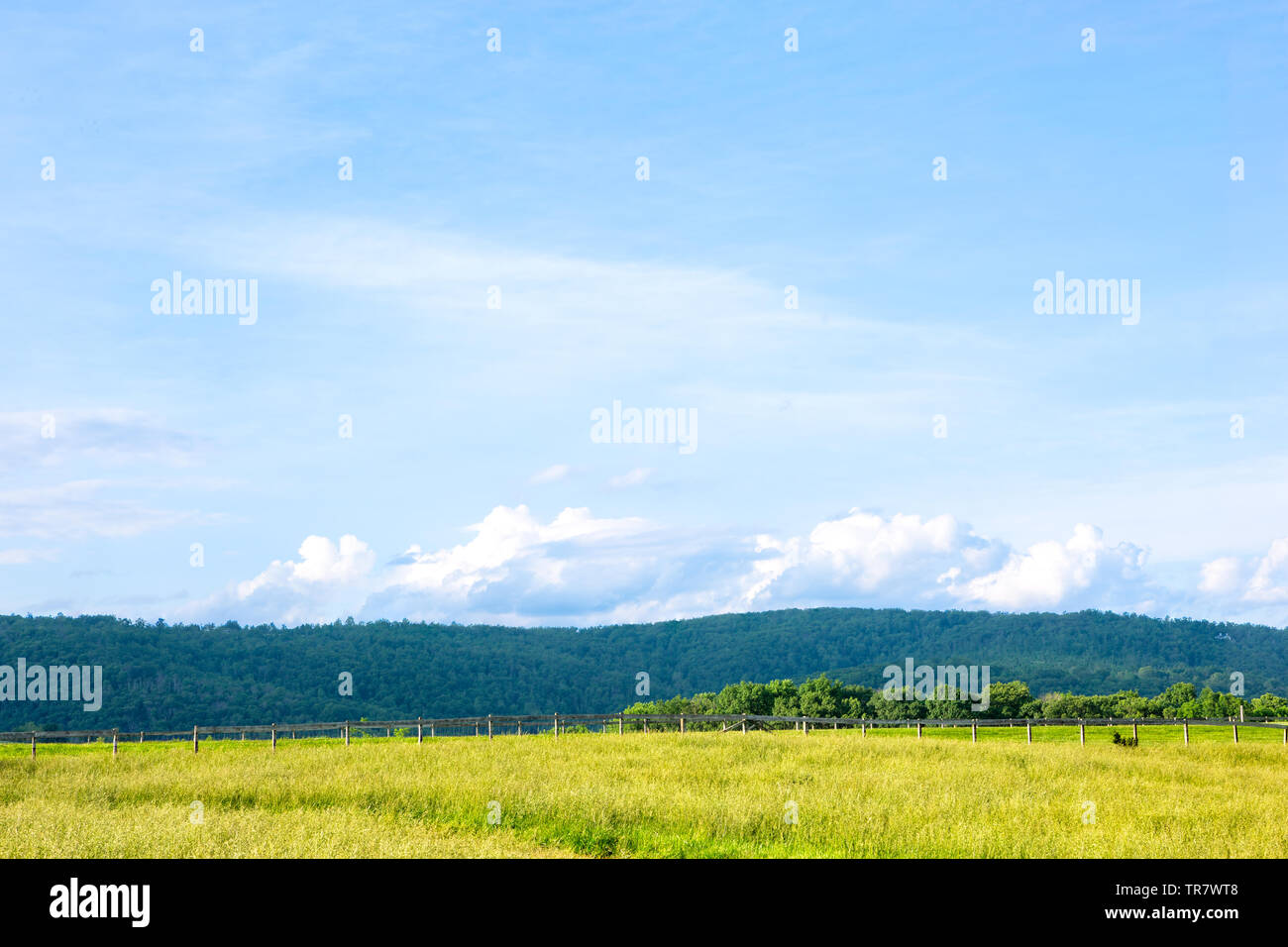 Ruhigen Bauernhof, Szene im Staat Virginia USA Stockfoto