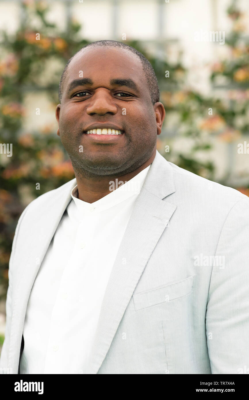 Hay Festival, Heu auf Wye, Powys, Wales, Großbritannien - Donnerstag 30 Mai 2019 - David Lammy MP im Hay Festival über sein neues Buch Stämme als Teil der Octavia Hill Vortrag sprechen. Foto Steven Mai/Alamy leben Nachrichten Stockfoto