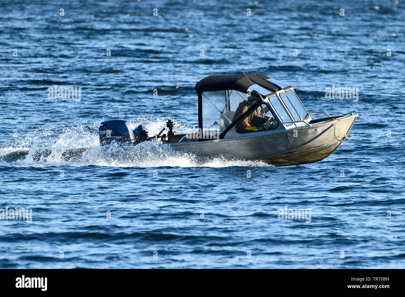 Ein Boot mit Außenbordmotor Beschleunigung entlang über das blaue Wasser der Straße von Georgia in der Nähe von Vancouver Island, British Columbia. Stockfoto