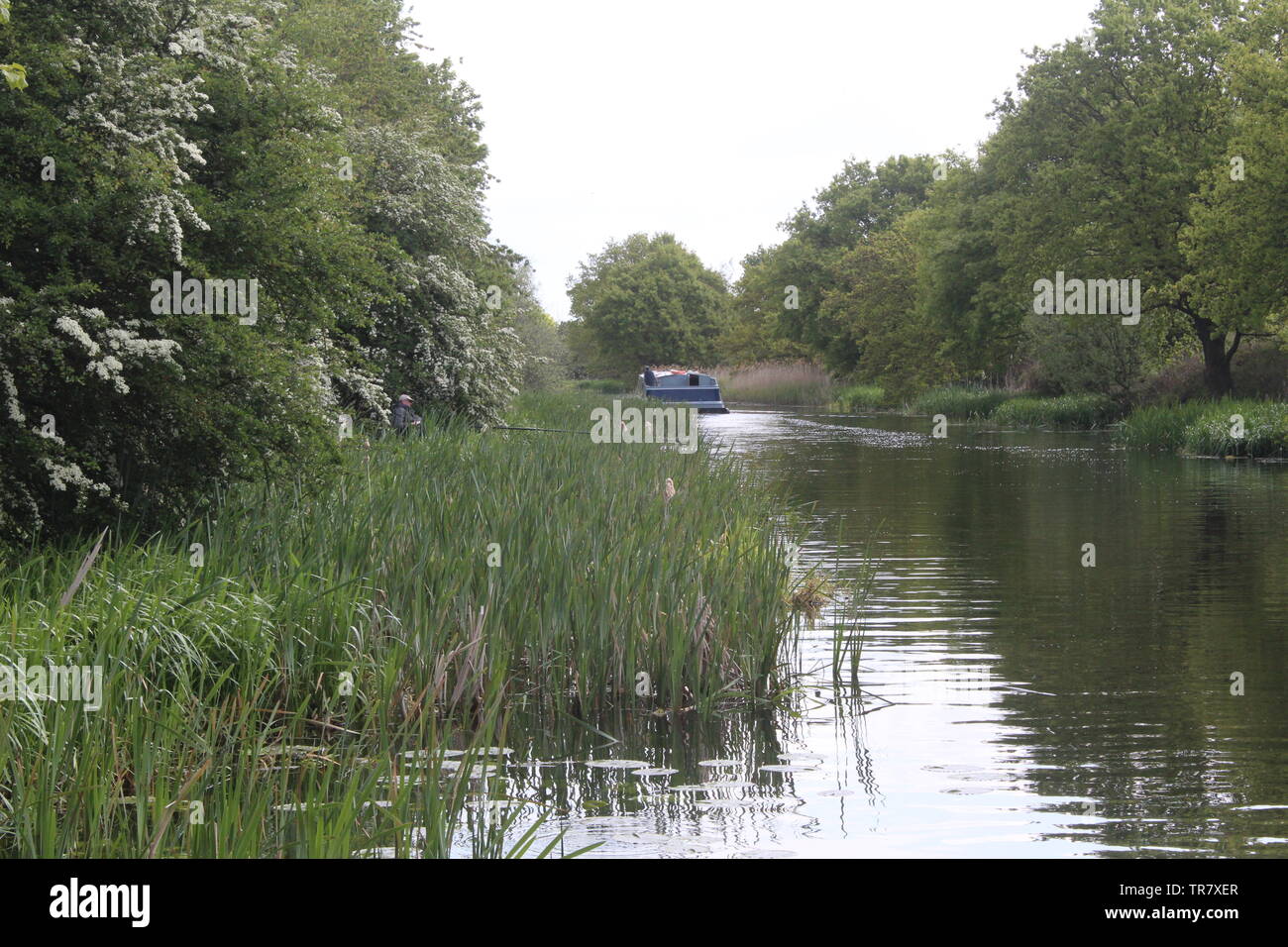 Aire und Calder Navigation Selby Canal Selby North Yorkshire England Stockfoto