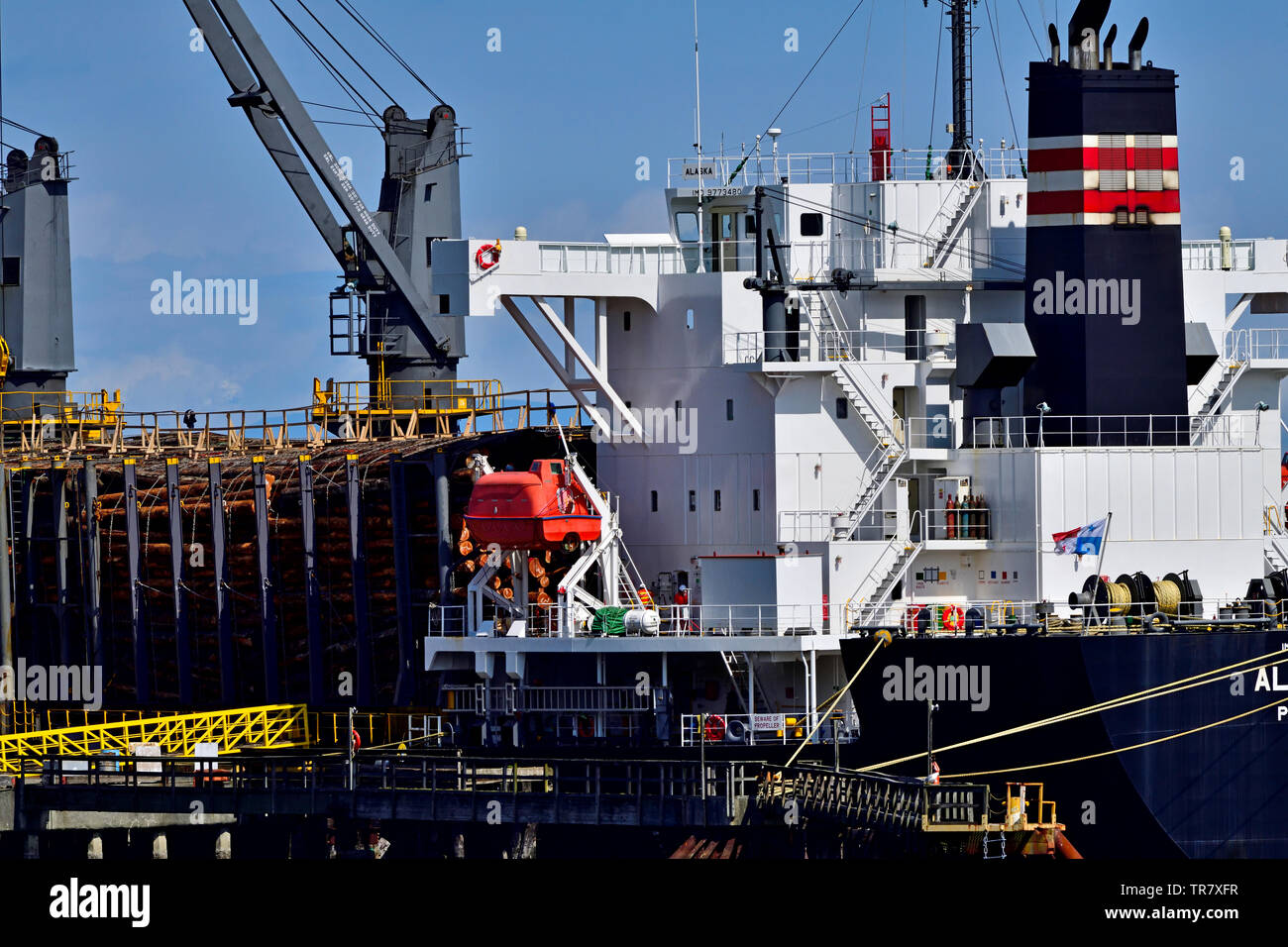 Ein Meer, Schiff mit raw-Protokolle für den Transport auf Vancouver Island, British Columbia Kanada geladen wird. Stockfoto