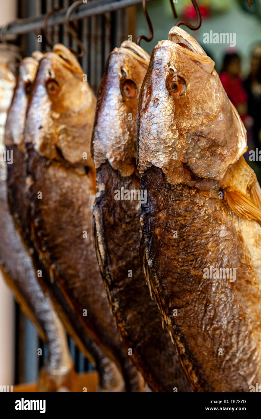 Getrockneter Fisch Auflegen zu verkaufen, das Fischerdorf Tai O, Hongkong, China Stockfoto