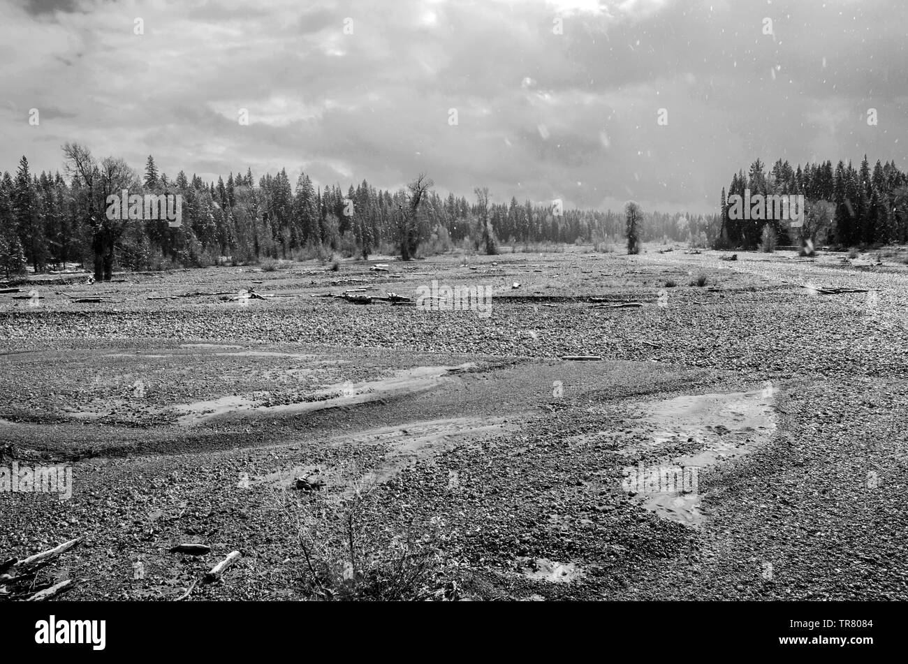 Trockenes Flussbett von Pilgrim Creek im Teton National Park im US-Bundesstaat Wyoming Stockfoto