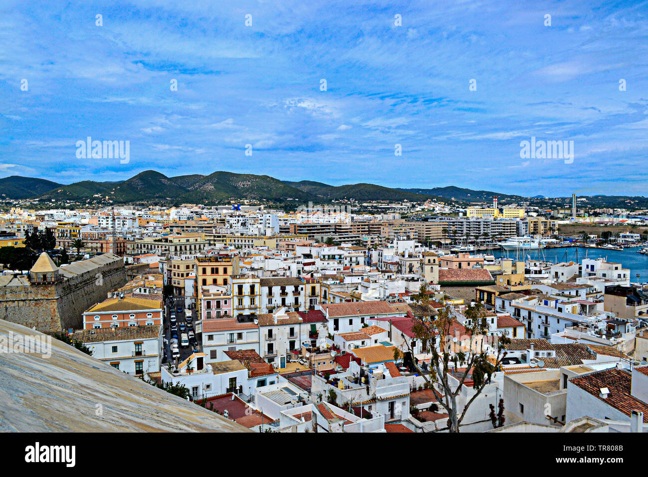 Hafen, Strand, Hafen, Ibiza, Gull, Aussicht, Aussicht, Spanien, möwe, Urlaub, Strand, Flughafen, Stadt, Stadt, Berge, Boote, Stadt, Segelboot, Vogel, vogel, Township, Berge, Hügel, Stockfoto