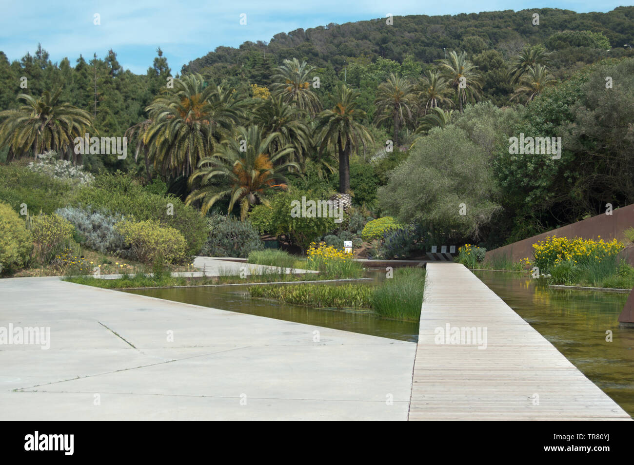 Teich an der Jardí Botànic de Barcelona, Barcelona, Spanien Stockfoto