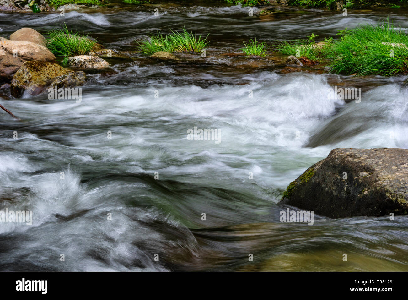 Laurel Creek in den Smokey Mountains National Forest Stockfoto